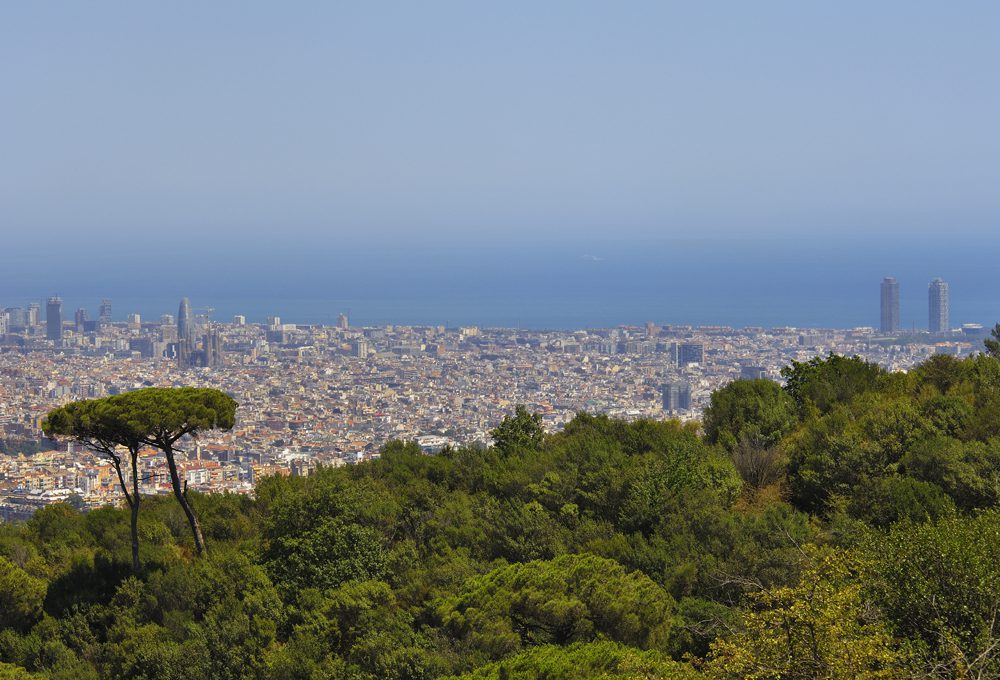 a view of park collserola with city view in background