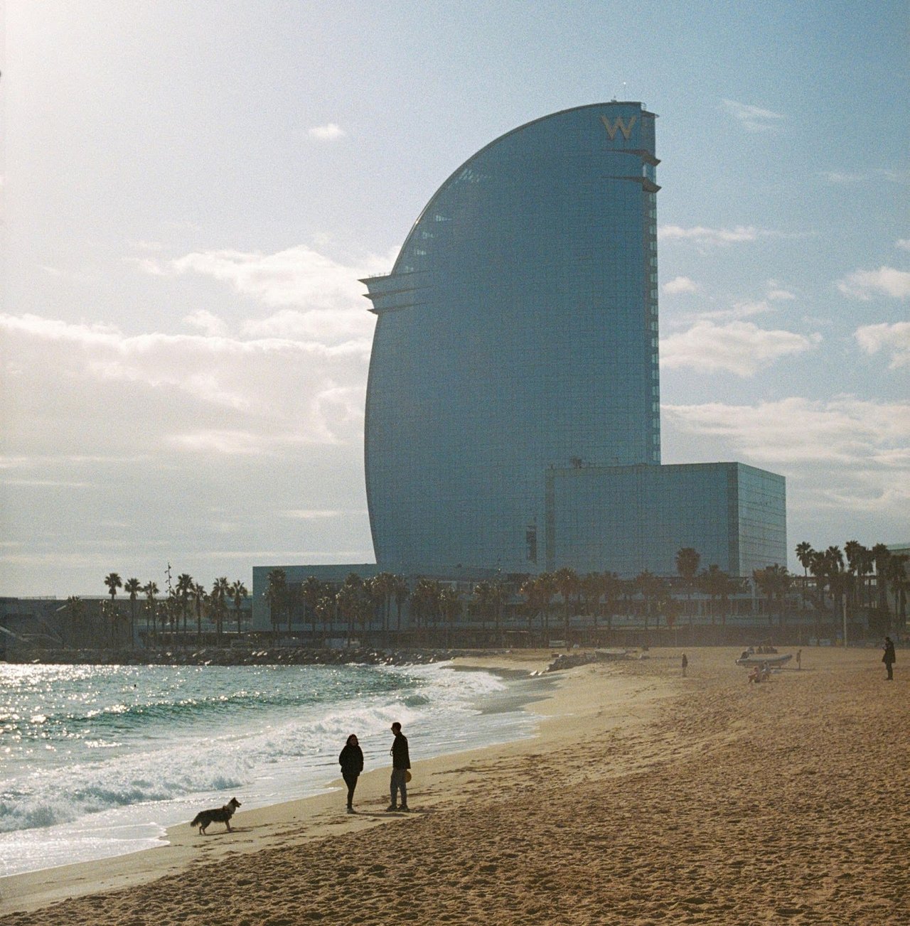 Barcelona beach with W Hotel in the background and two people walking with a dog along the shore.