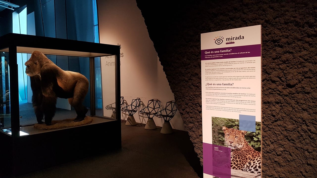 Inside of the science museum, you can see a big stuffed gorilla