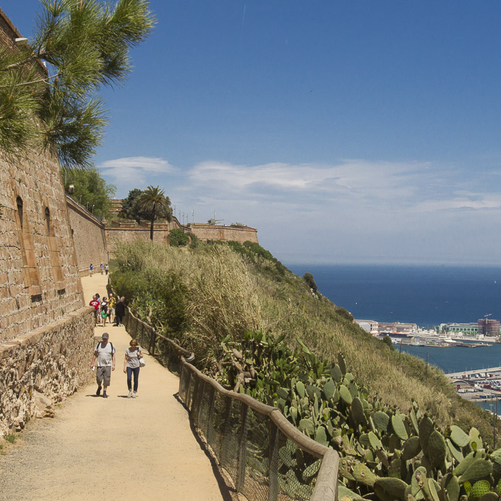 Scenic walking path at Mirador del Migdia in Barcelona, offering stunning views of the coastline and harbor, with lush greenery and cactus plants lining the pathway.