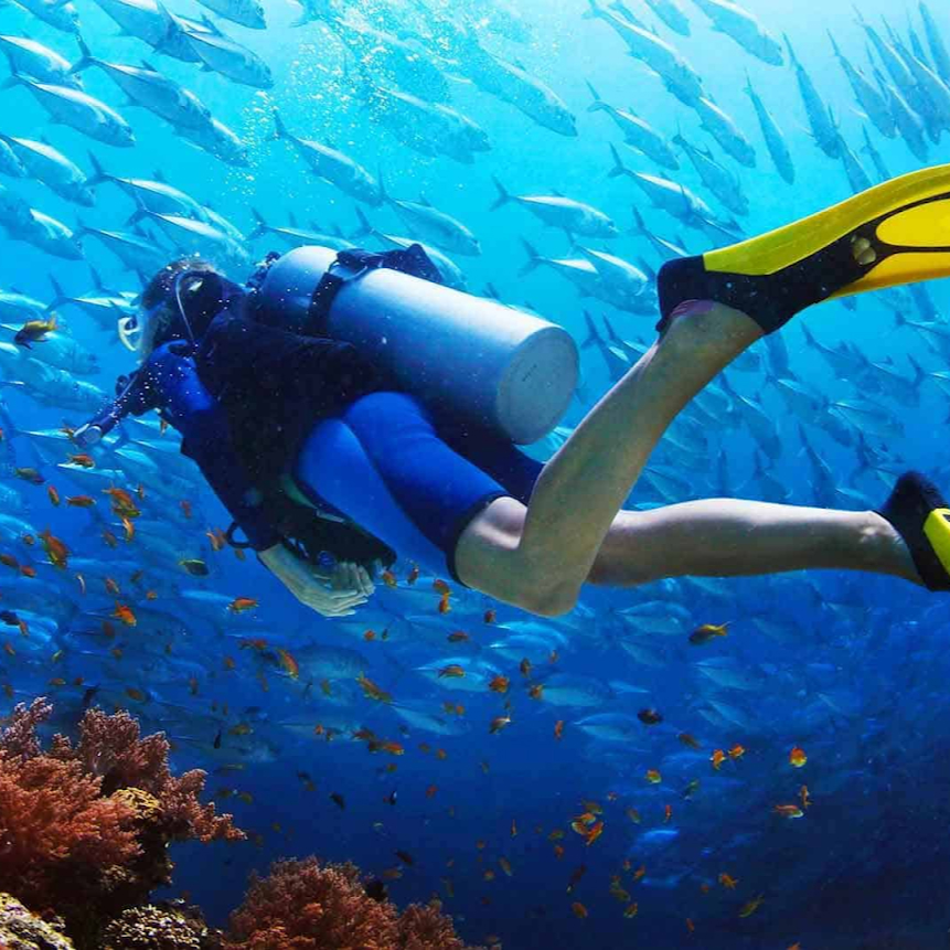 Scuba diver exploring the vibrant marine life in the waters off Barcelona, surrounded by schools of fish and colorful coral.