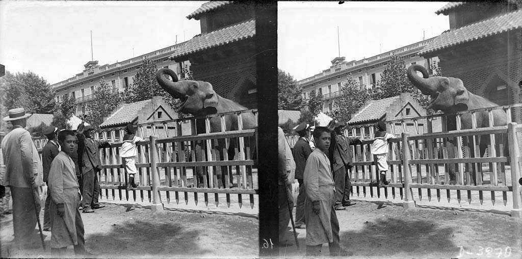 Historical photo of an elephant enclosure with visitors in an early 20th-century zoo.