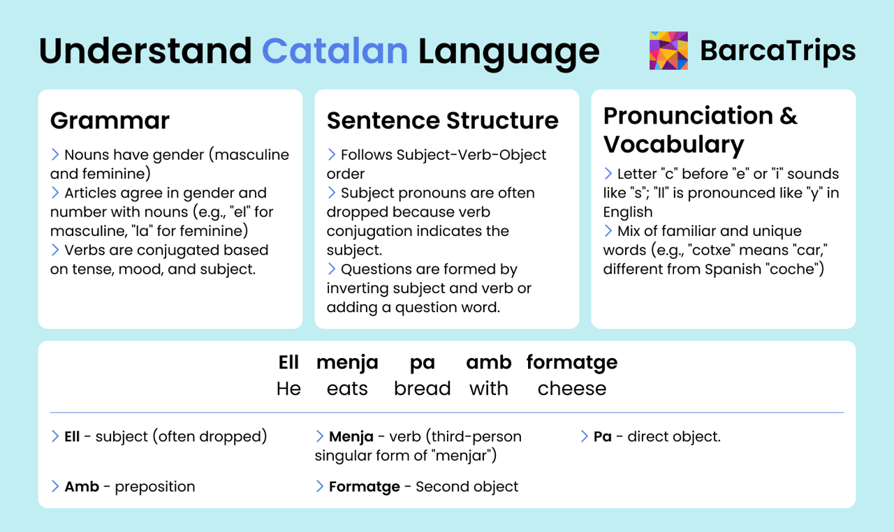 Infographic explaining Catalan language grammar, sentence structure, and pronunciation, including examples like 'Ell menja pa amb formatge,' meaning 'He eats bread with cheese.'