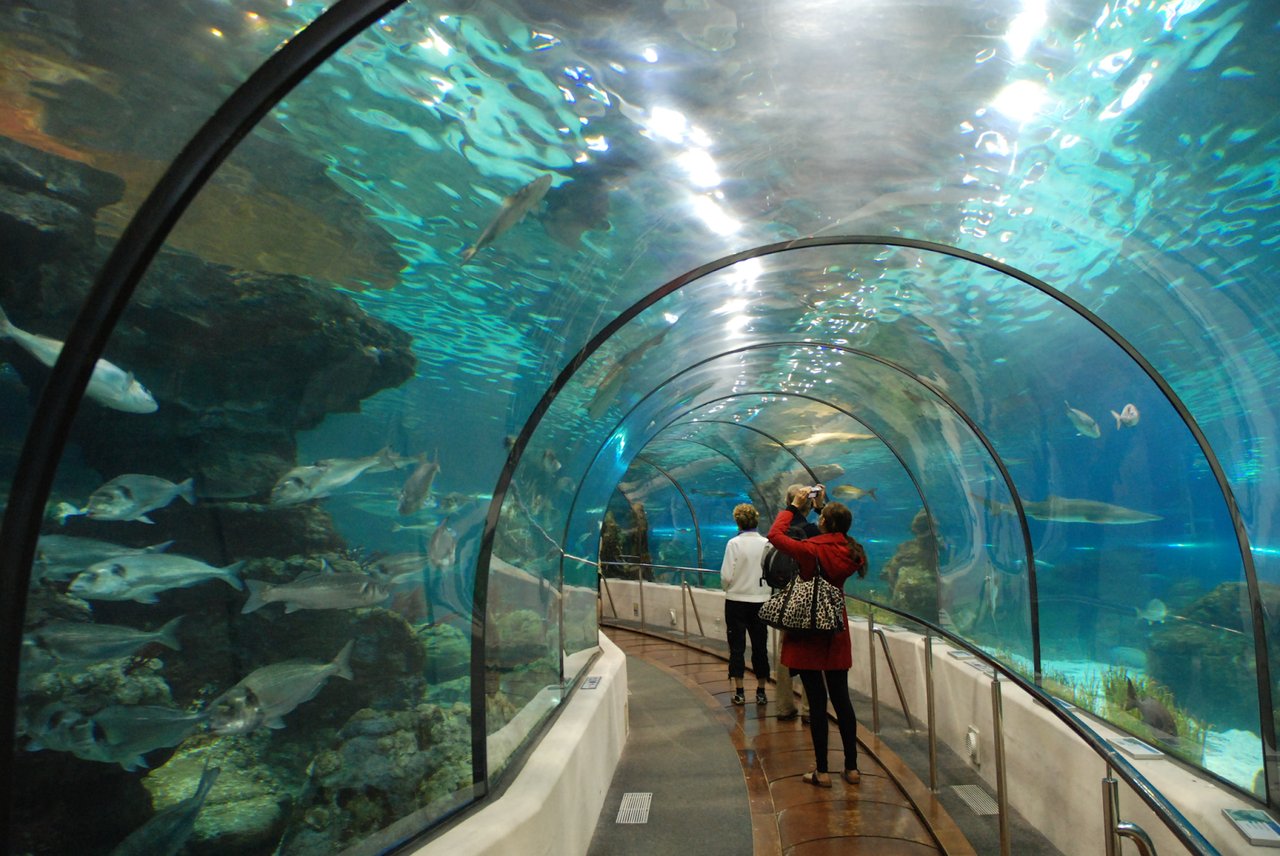 Visitors walking through the underwater tunnel exhibit at the Aquarium Barcelona, surrounded by marine life swimming overhead.