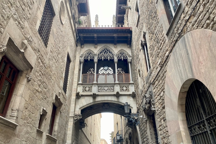 Neo-Gothic Pont del Bisbe (Bishop's Bridge) connecting two buildings in the Gothic Quarter of Barcelona.