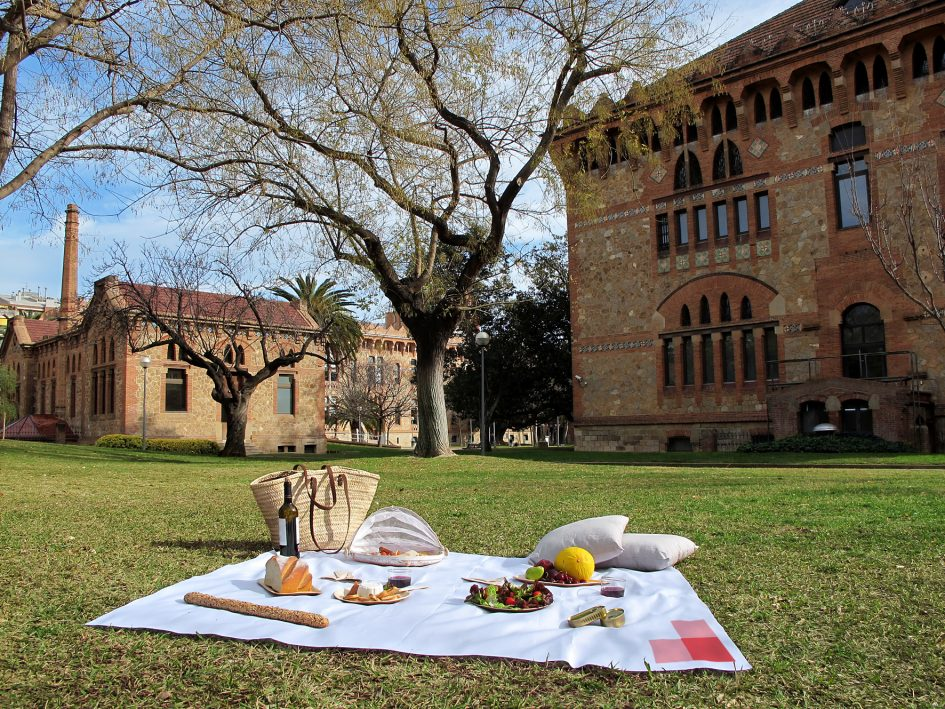 A cozy picnic setup on the lawn of Barcelona's university campus with food, wine, and a serene atmosphere.